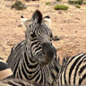 Meet your Posher, Jay